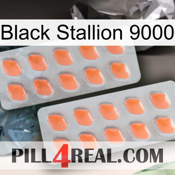 Black Stallion 9000 27.jpg